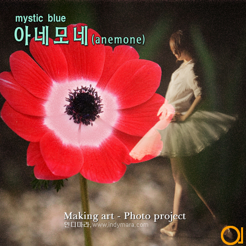 08.25(토) - 아네모네(anemone)’ - mystic blue